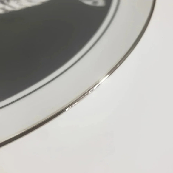 Vtg Set of 2 Royal Cornwall Kittens Black/White Collectors Plates. - Picture 12 of 13